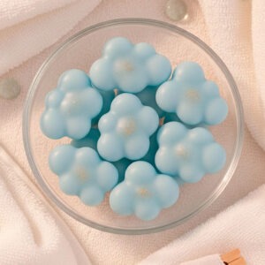 Wax Melt - Ropa Limpia